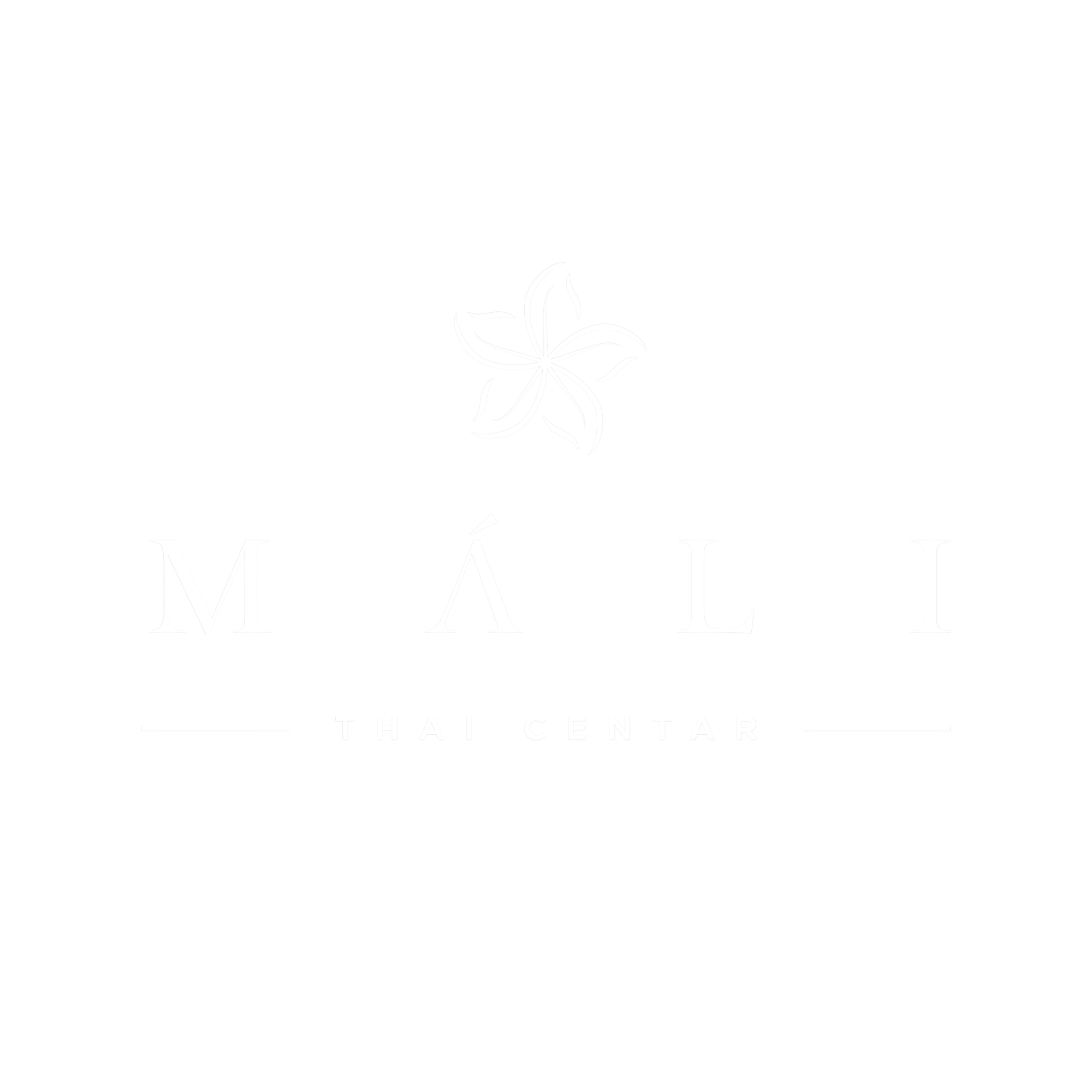 Thai Centar Mali